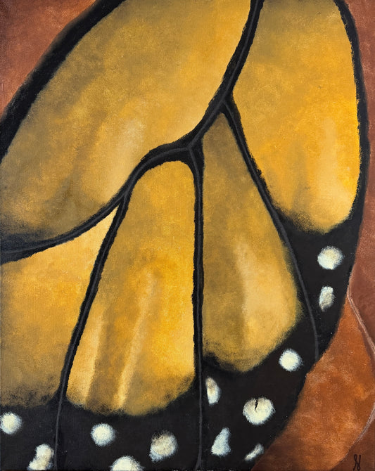Monarch Butterfly